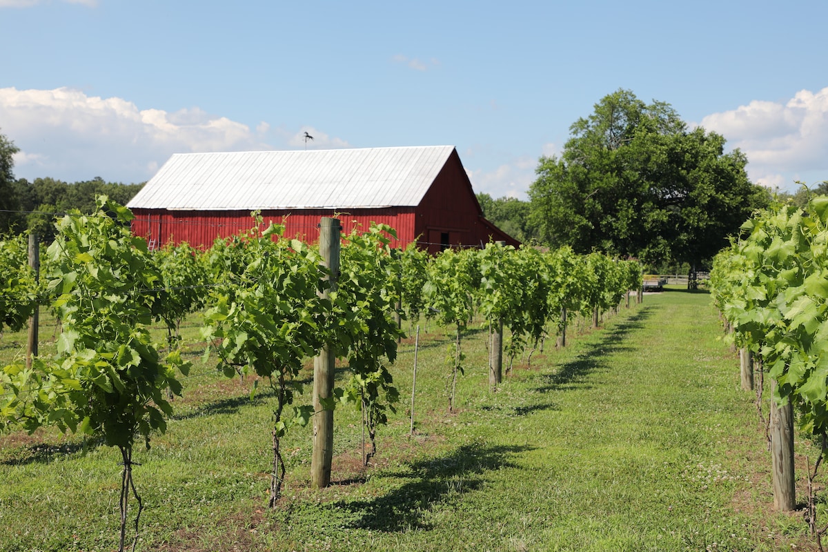 Granjas - Scenic Hudson, image size:1200x800