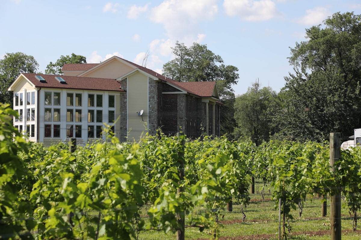 Cómo combinar su ramo de novia con su vestido de novia - David Austin  Wedding and Event Roses, image size:1200x800