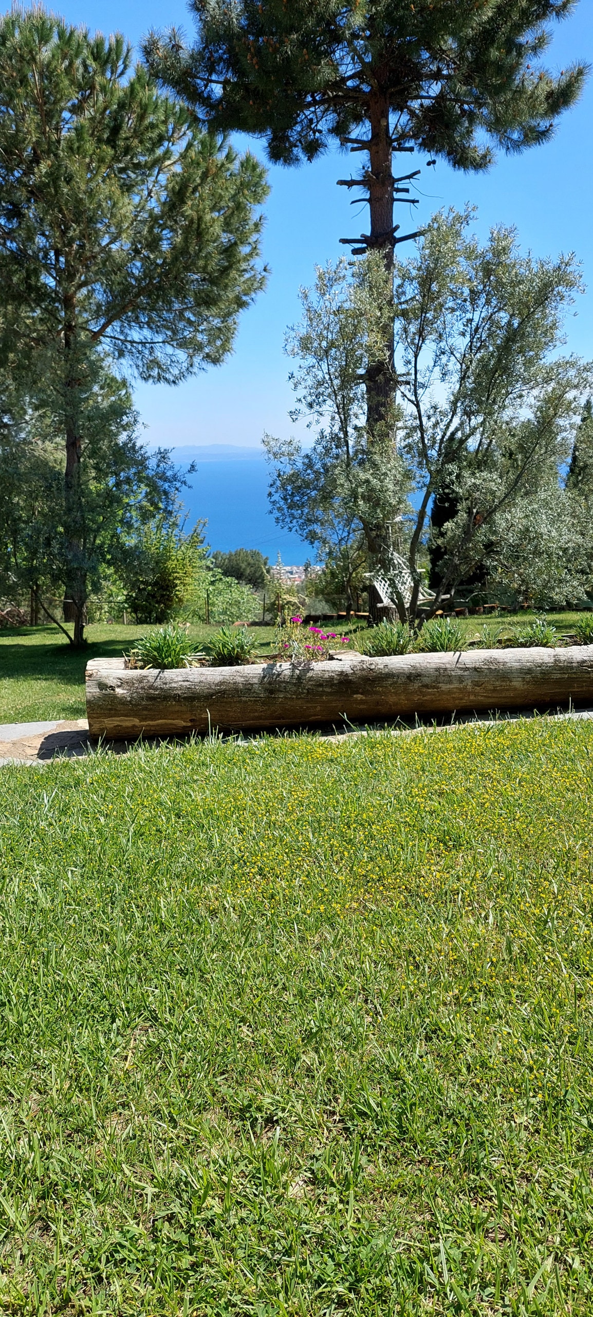 Kazdağlarında malikanede oksijen tatili