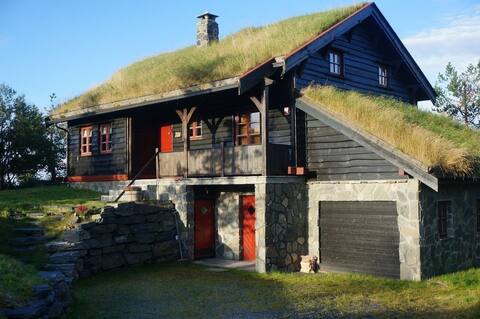 Great cottage for the big family, Lifjell