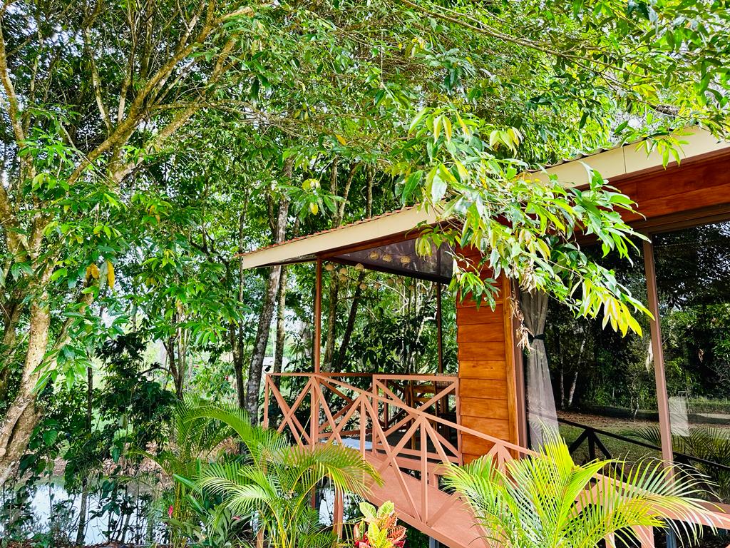A wooden cabin is nestled among lush greenery, surrounded by tall trees and vibrant foliage. A wooden walkway leads to the entrance, inviting guests to explore the natural environment. Sunlight filters gently through the leaves, creating a serene outdoor setting.