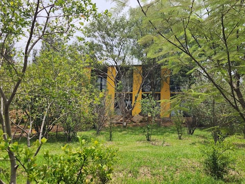 8 habitaciones con dos camas nuevas con alberca