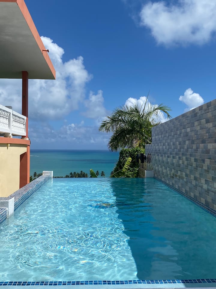 2 Ocean View Villas With Private Pool - Puerto Rico