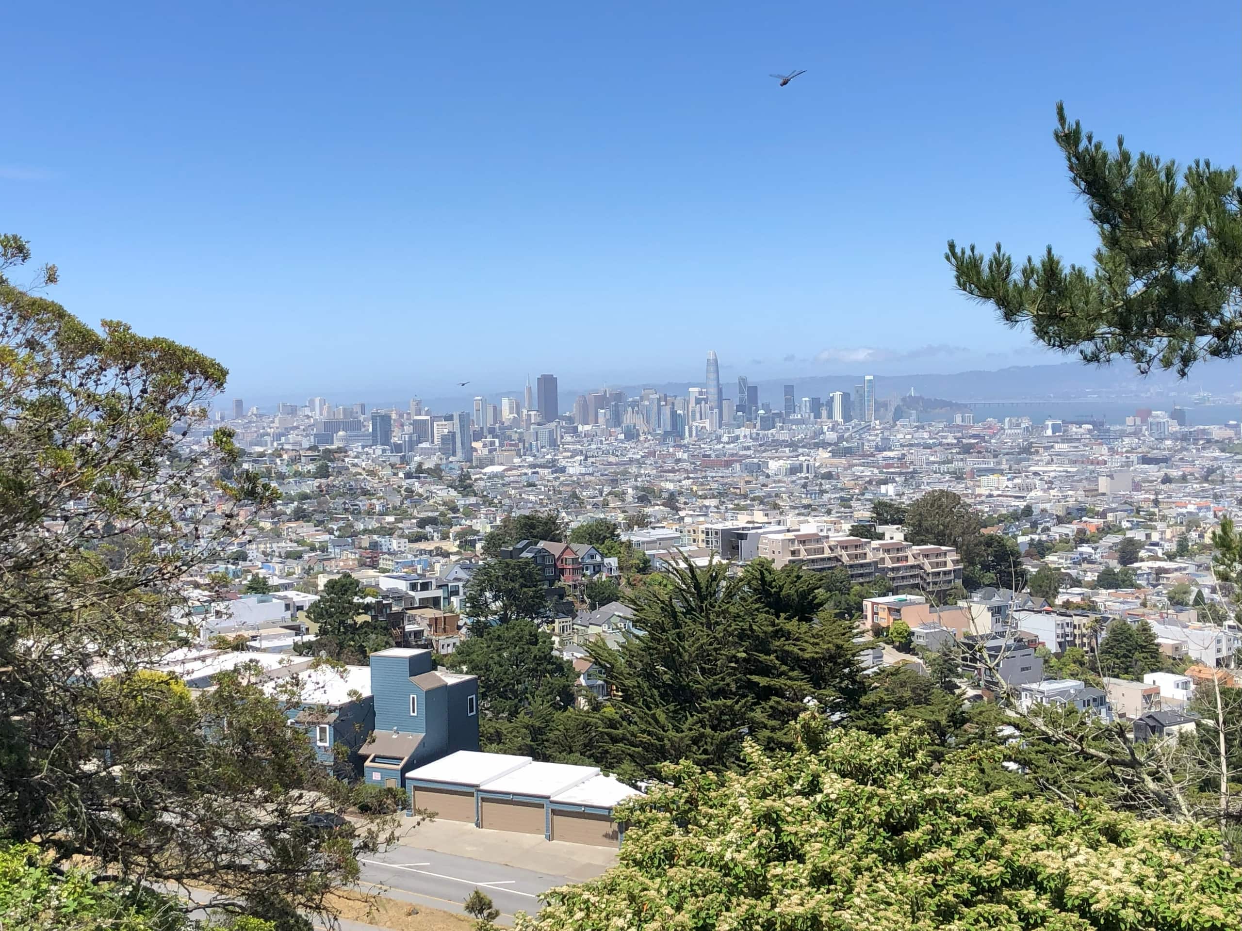 Home in San Francisco · ★5.0 · 3 bedrooms · 3 beds · 2.5 baths - Image 37