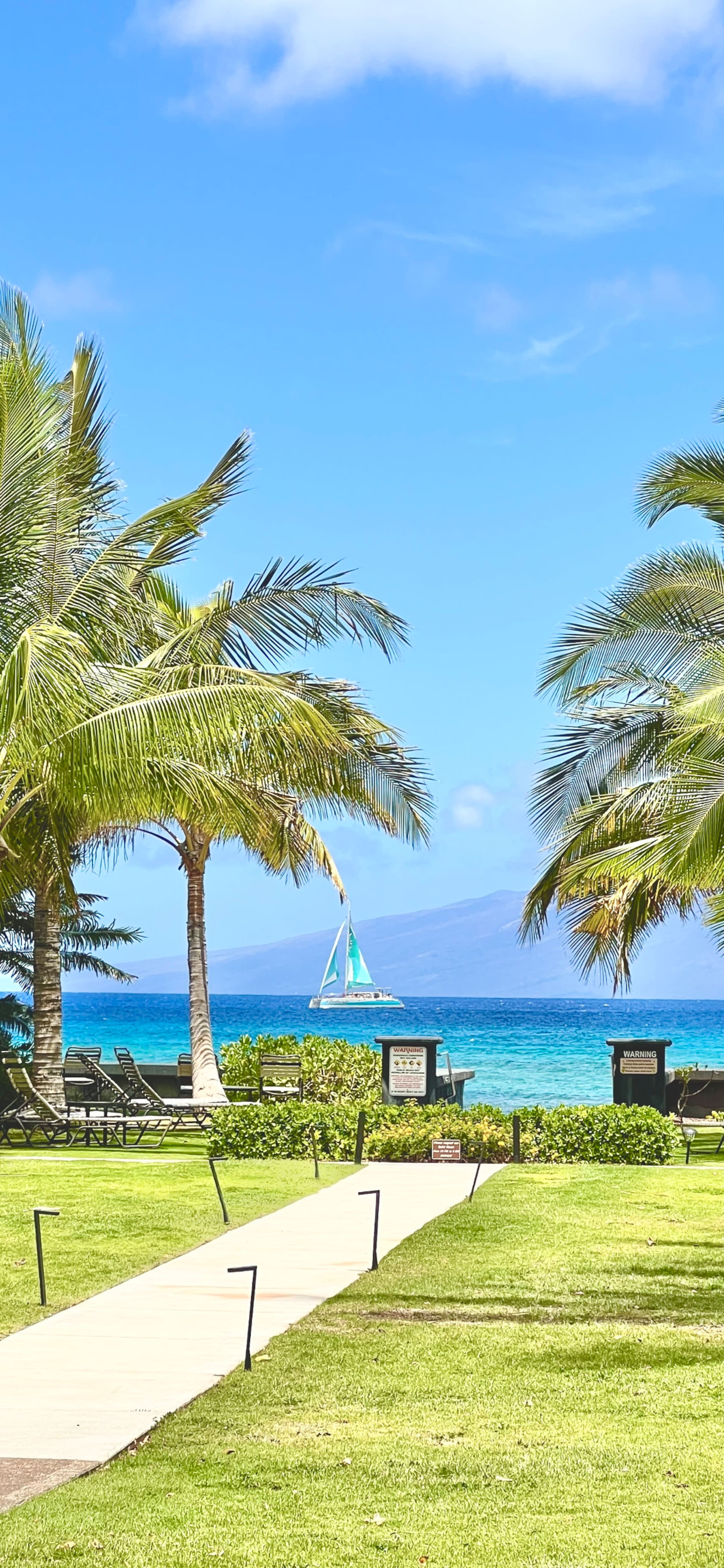 Condo in Lahaina · ★4.97 · 1 bedroom · 2 beds · 1 bath - Image 45