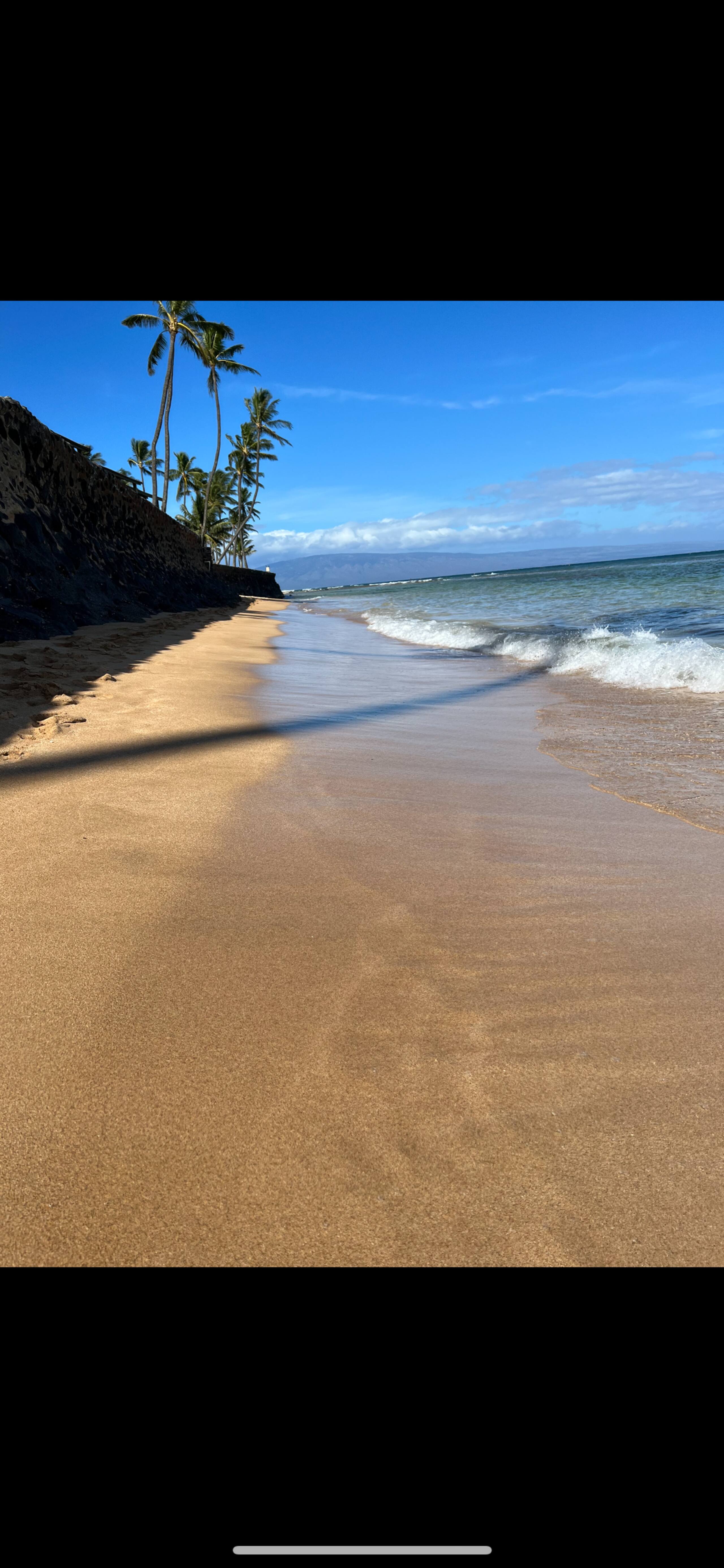 Condo in Lahaina · ★4.97 · 1 bedroom · 2 beds · 1 bath - Image 33