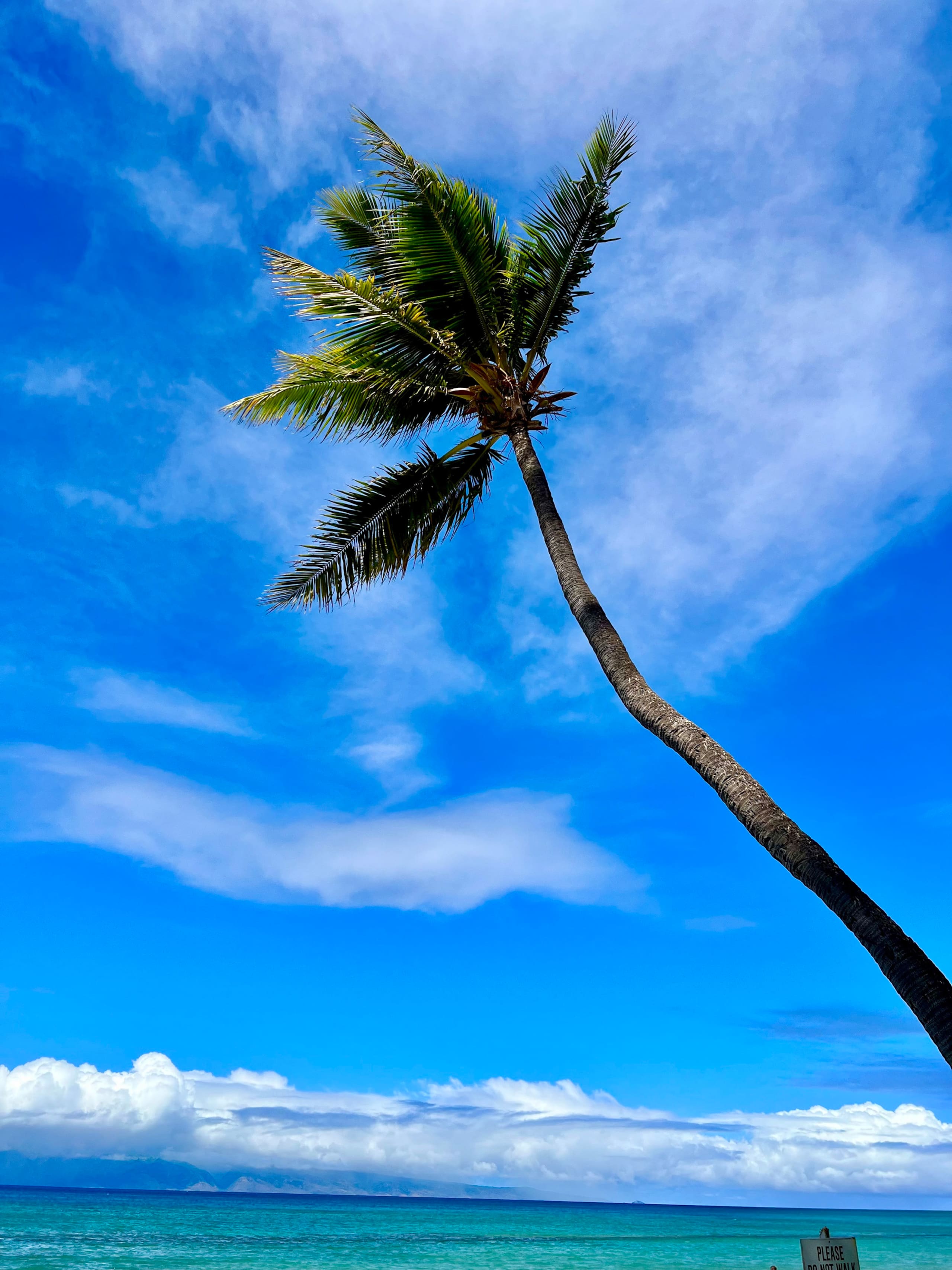 Condo in Lahaina · ★4.97 · 1 bedroom · 2 beds · 1 bath - Image 41