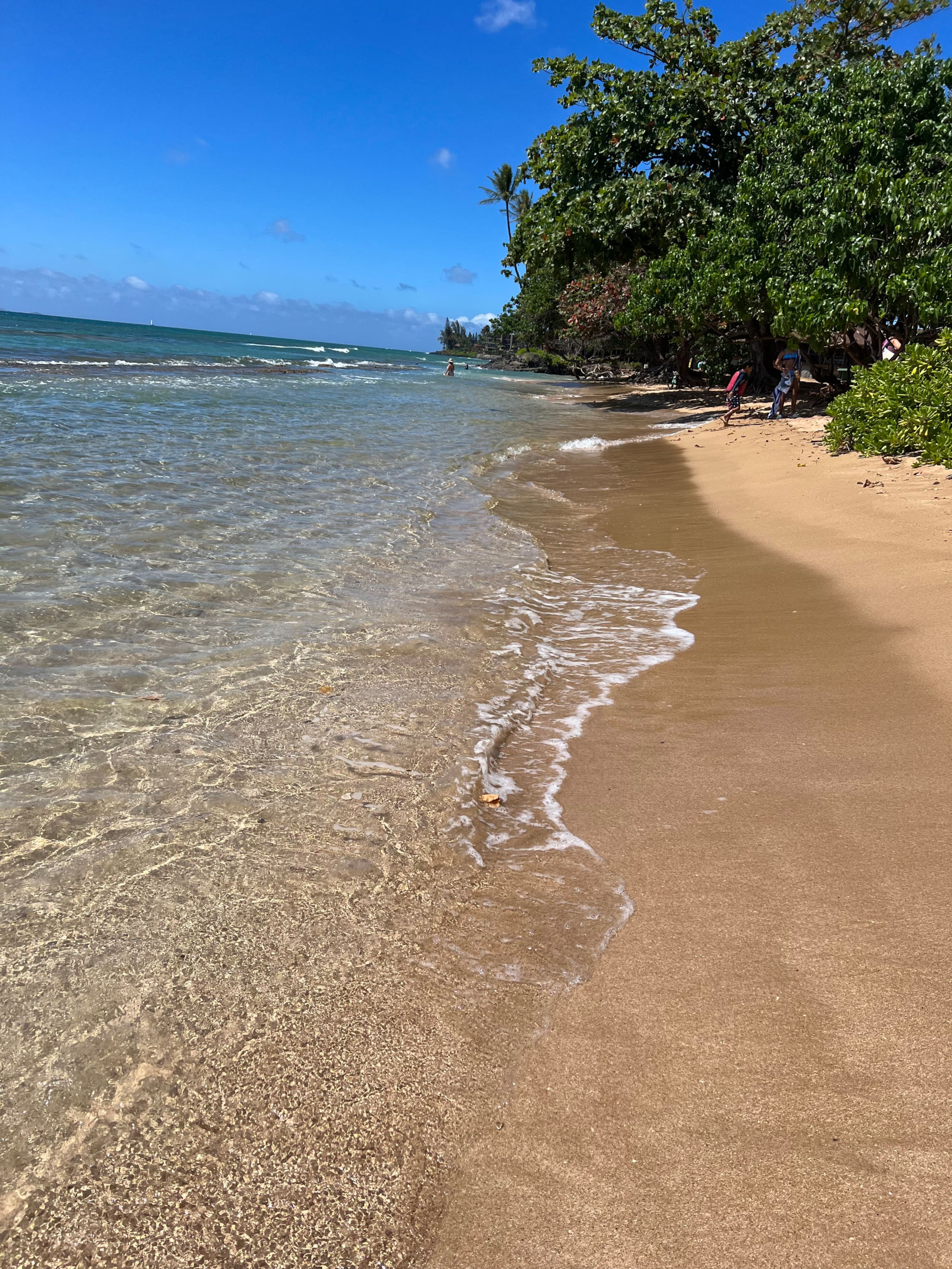 Condo in Lahaina · ★4.97 · 1 bedroom · 2 beds · 1 bath - Image 29