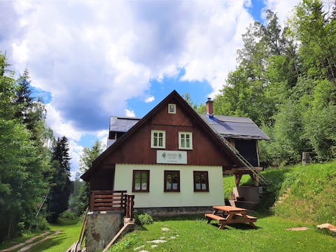 Apartmán mezi stromy