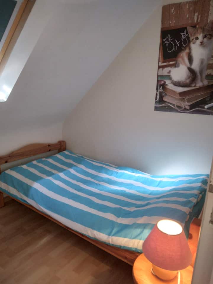 Habitación 1