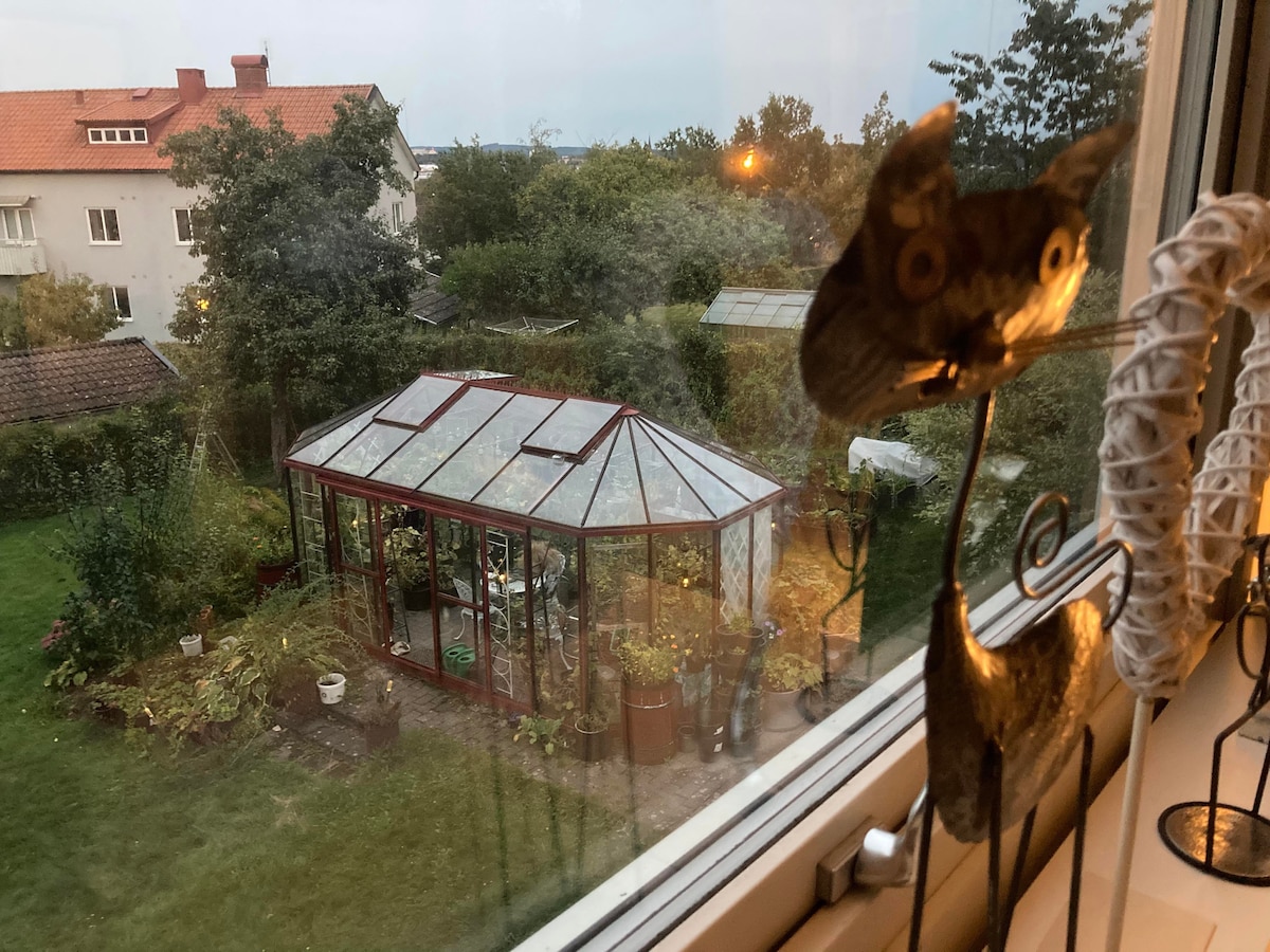 Tazama juu ya bustani na nyumba ya kijani.