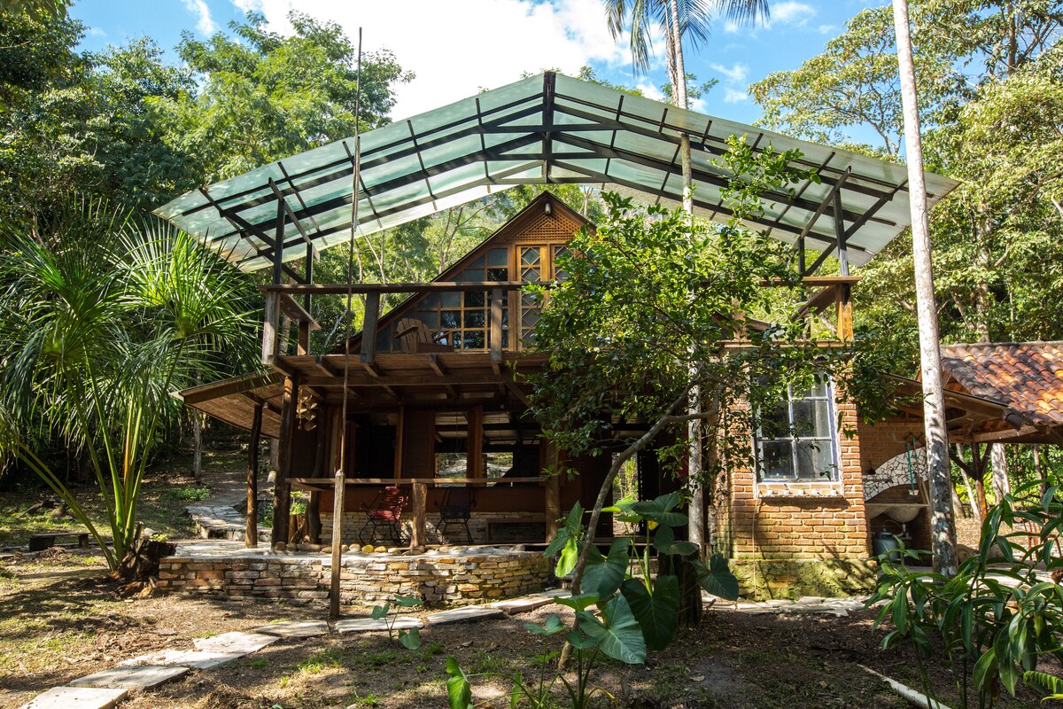 The exterior of the house showcases a blend of natural materials and a glass roof, allowing sunlight to filter through. Surrounded by lush greenery, the structure features large windows, a spacious porch, and an inviting outdoor area with plants and stonework.