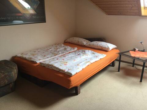 Meise room with sloping ceilings