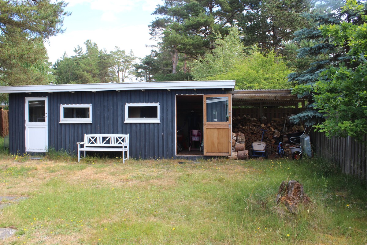 A wooden cabin with a dark exterior is surrounded by a grassy area dotted with yellow flowers. A white bench is positioned in front of the structure, which features two small windows and a door. A sheltered area to the side contains neatly stacked firewood.