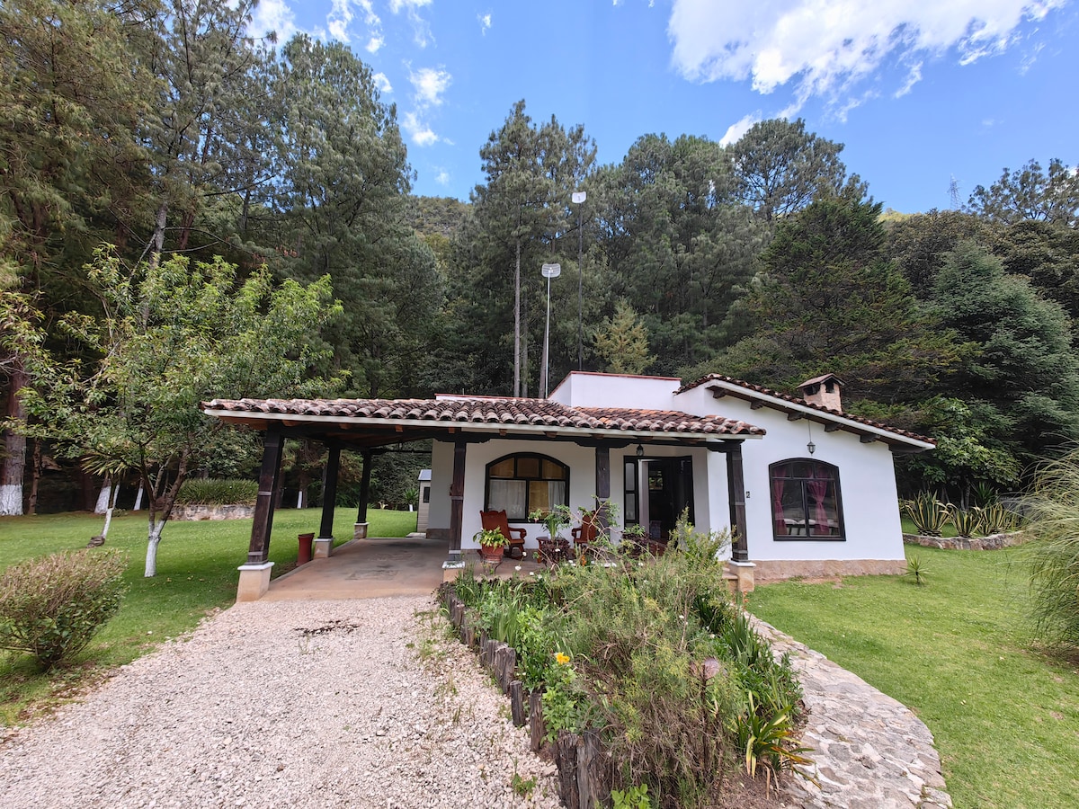 A charming single-story house is set among lush greenery, featuring a tiled roof and a welcoming porch with potted plants. The surrounding landscape includes tall trees and a gravel pathway leading to the entrance, enhancing the serene ambiance of the forested area.