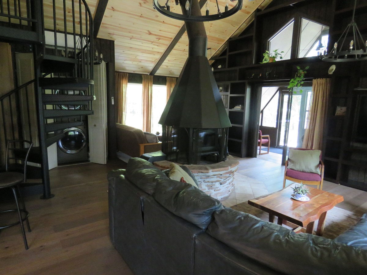 An open living area features a unique stone fireplace at the center, surrounded by comfortable seating. Large windows allow natural light to illuminate the space, while a spiral staircase leads to the loft. Wooden beams and built-in bookcases add character to the cabin's design.