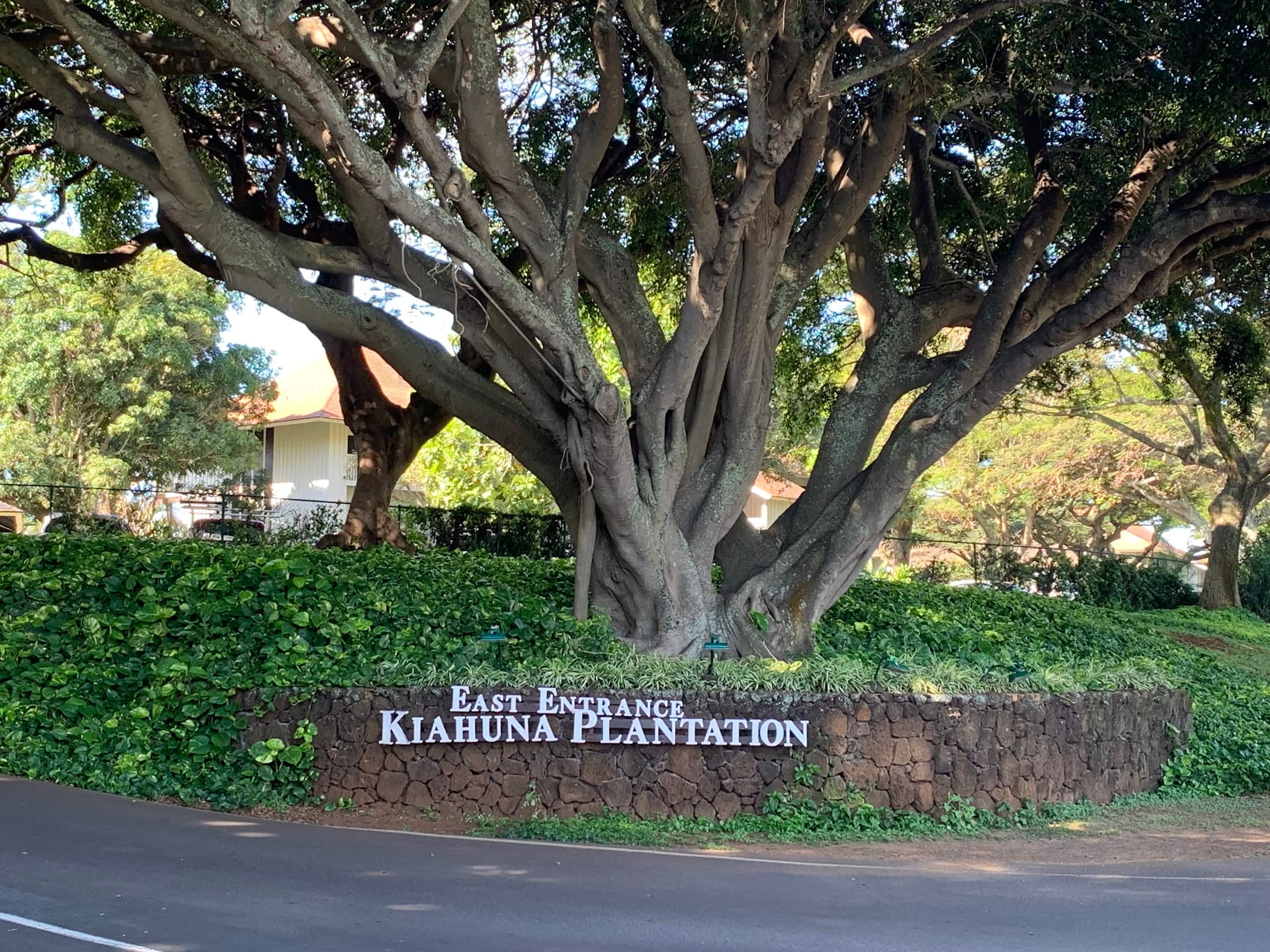 Condo in Koloa · ★4.87 · 1 bedroom · 1 bed · 1 bath - Image 29