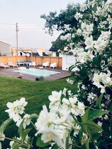 Sommerparadis i Oslo. Flott basseng og solrik hage gallery image 2