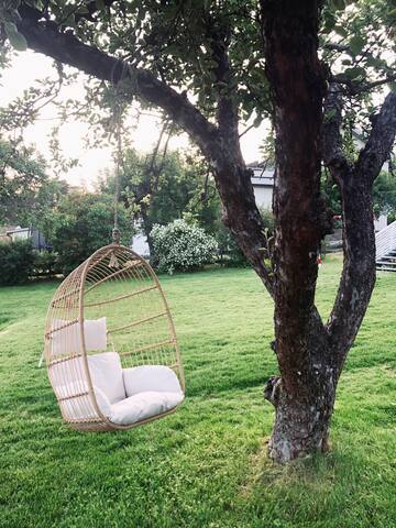 Sommerparadis i Oslo. Flott basseng og solrik hage gallery image 3