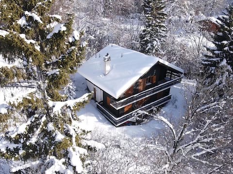 Spacious Chalet with panoramic view