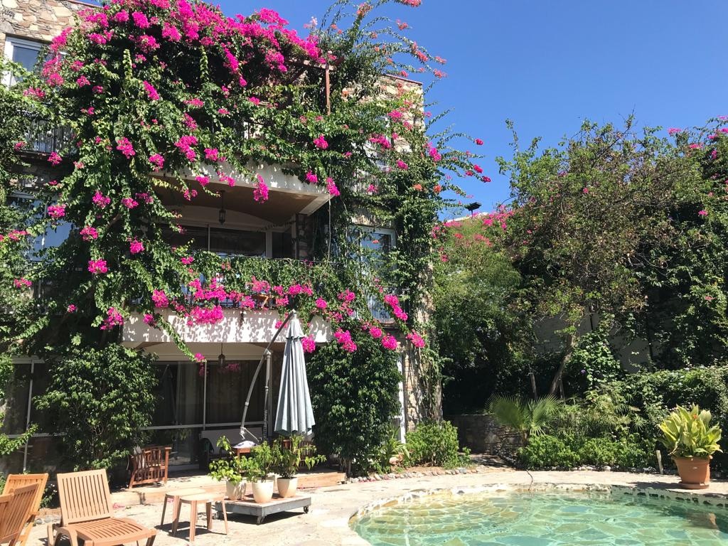 A multi-level villa is surrounded by vibrant bougainvillea, cascading down the exterior walls. A circular pool is framed by wooden loungers and lush greenery, inviting relaxation. A large umbrella stands over a seating area, providing shaded comfort near the water.