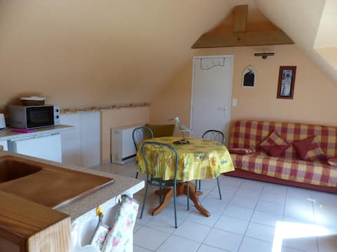 Popular Airbnb listing: Quiet independent apartment in Audierne