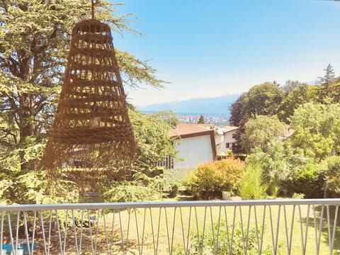 House with Mont Blanc view