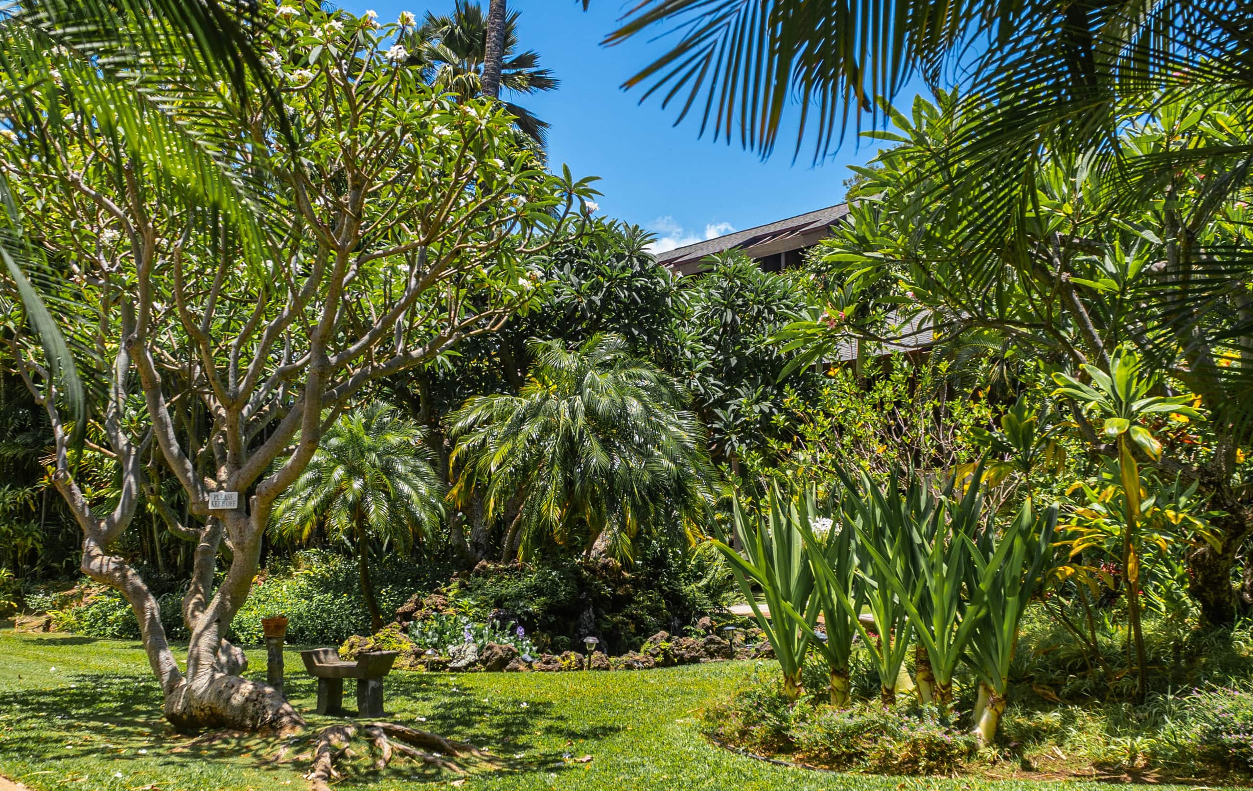Condo in Kihei · ★4.87 · 1 bedroom · 2 beds · 1 shared bath - Image 19