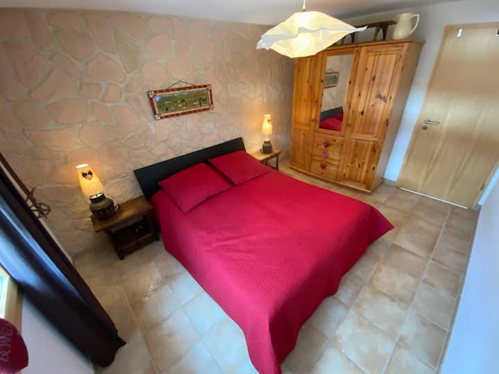 Habitación 1