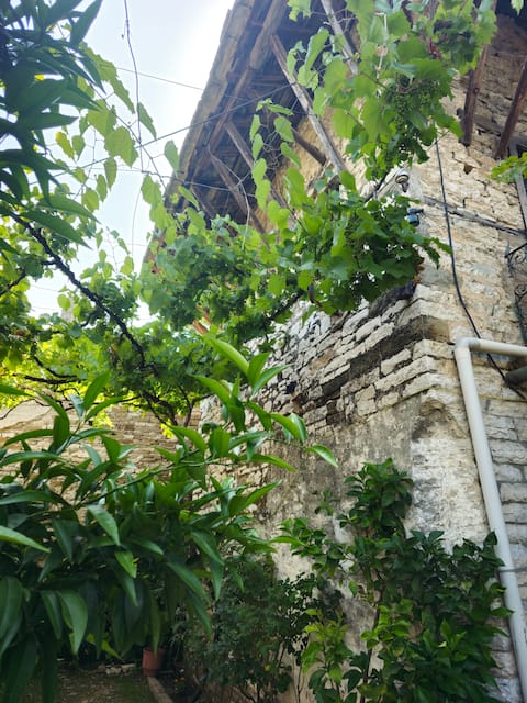 Traditional House Shapllo