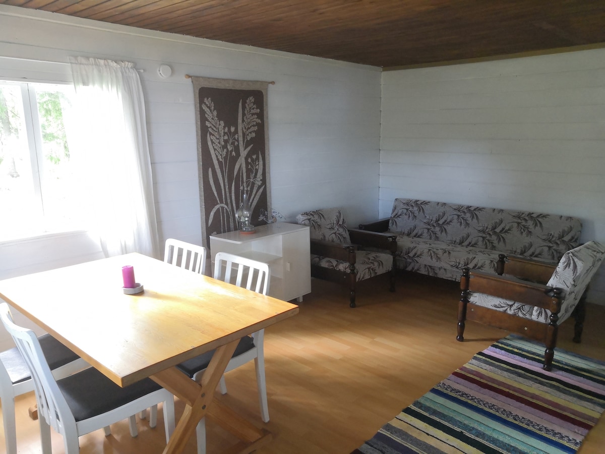 Dining table and sofa group. The couch can be made into a sleeping area for one person. 