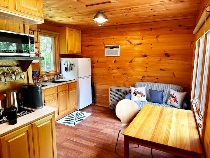 Dining area and sleeper sofa