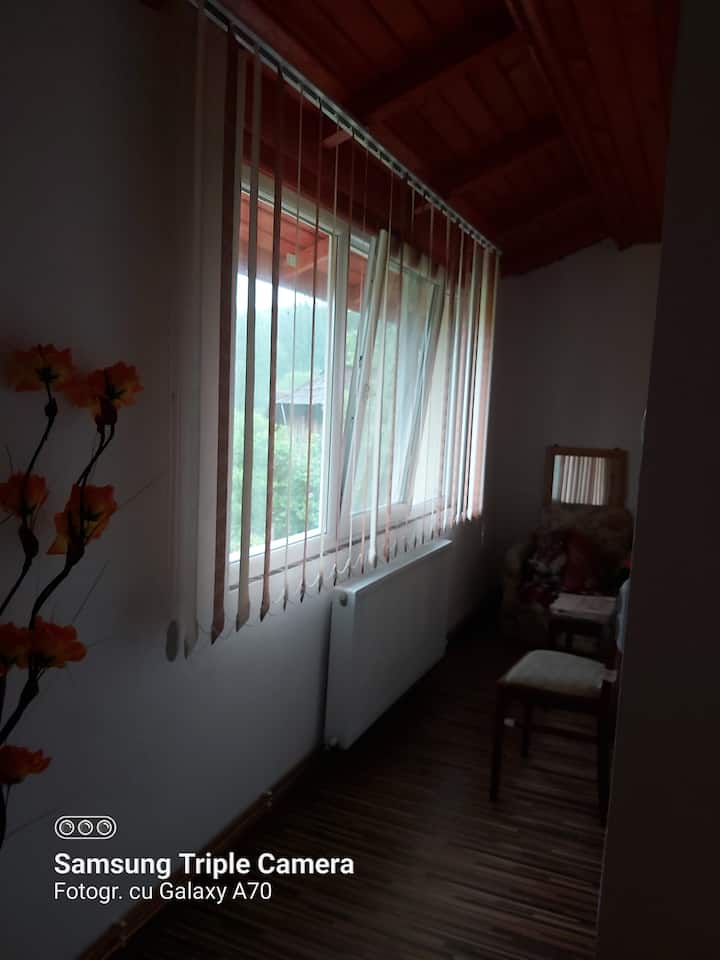 Casa De Vacanta La Fane  In Comuna Pietrari - Băile Govora