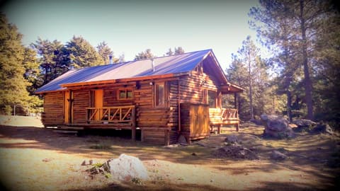 Log cabin in Villa Berna