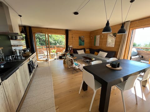 Top performing Airbnb: Spacious flat Ski-in Ski-out Les Carroz in Arâches La Frasse