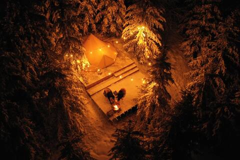 Glamping Experience stay in spruce tree cuddly