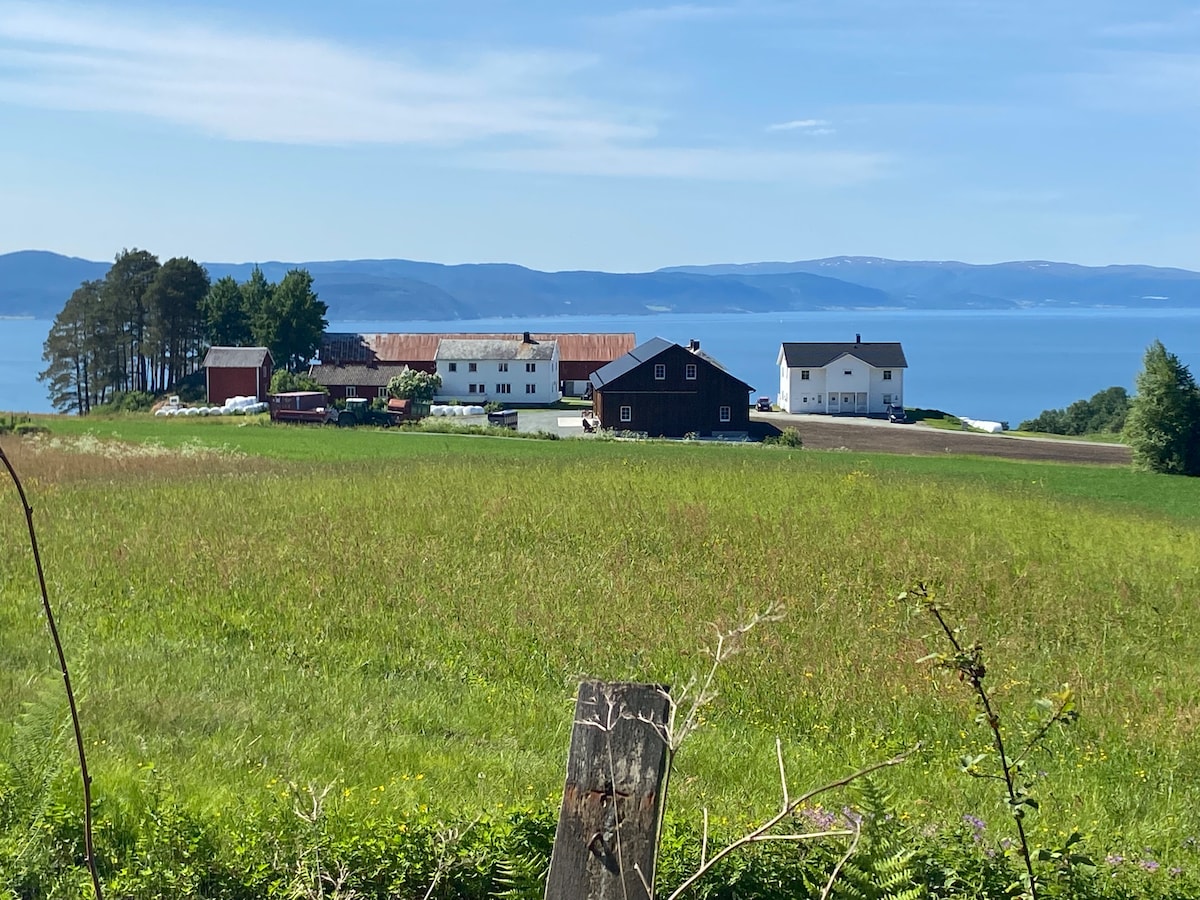 The image captures a sprawling farmstead nestled in a vibrant green landscape, with several buildings positioned across the horizon. The tranquil waters of Trondheimsfjorden are visible in the background, creating a scenic backdrop under a clear blue sky.