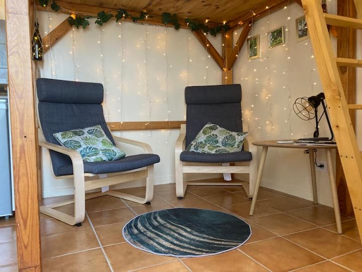 صالون عملات معدنية