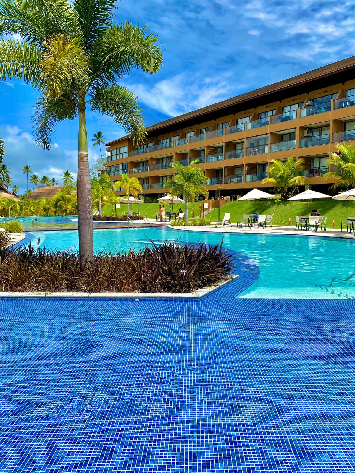 A sprawling pool area is framed by lush palm trees and vibrant landscaping. Loungers with umbrellas are positioned around the water, with a backdrop of a beautifully designed resort building featuring multiple balconies. Clear blue skies enhance the inviting atmosphere.