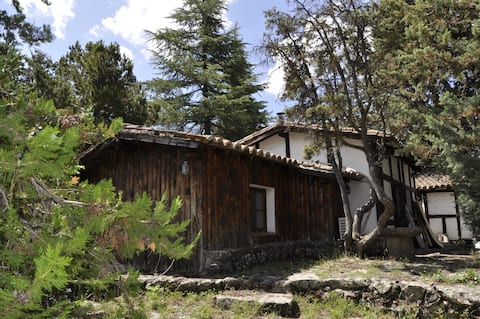 Popular Airbnb listing: Cabaña del Burguillo in Castile And León