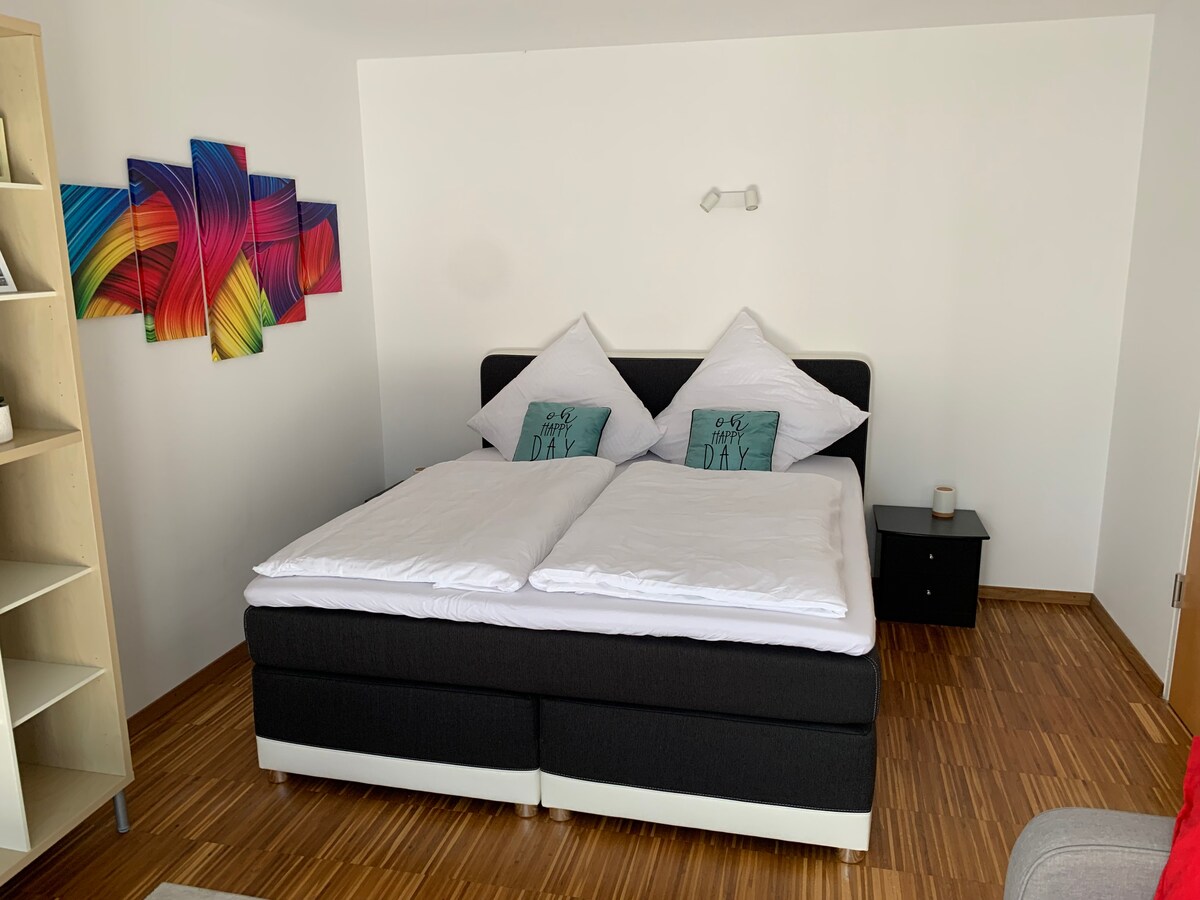 Popular Airbnb listing: Panorama Apartment in Lörrach