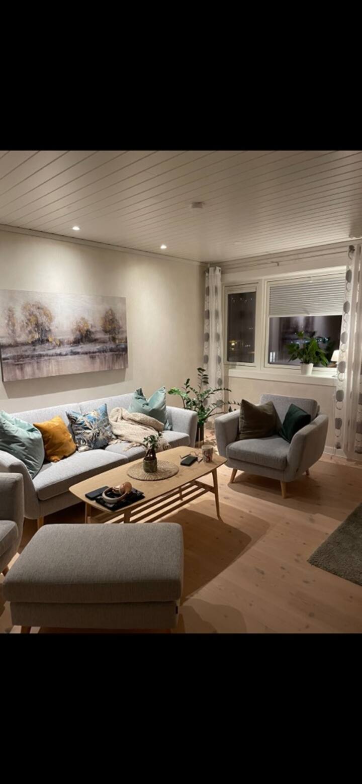 Top apartment near the center of Bergen.