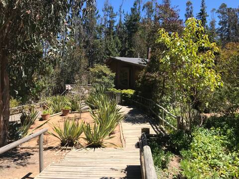 Great house, Totoral-Algarrobo