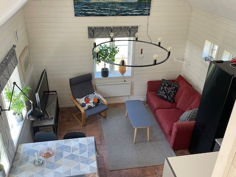 Top performing Airbnb: Guest house in the middle of Visingsö. in Jönköping