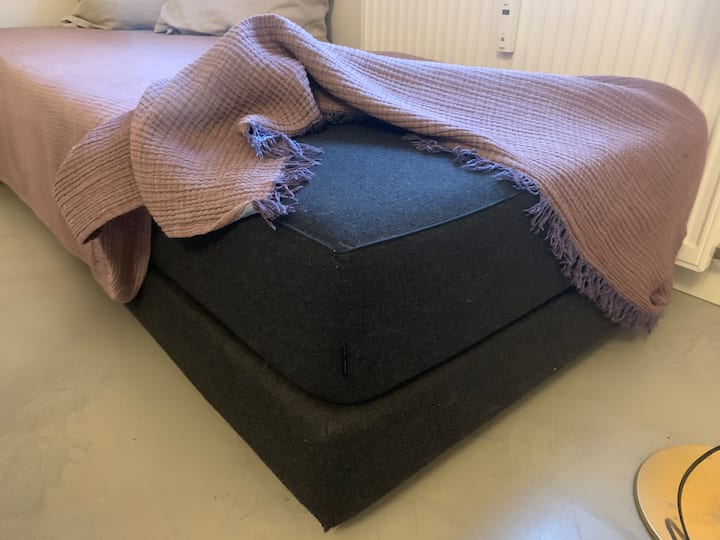 Daybet me dyshek dopio