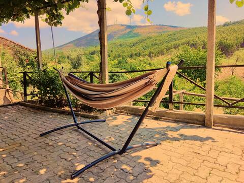 Tranquil retreat with scenic views and orchard