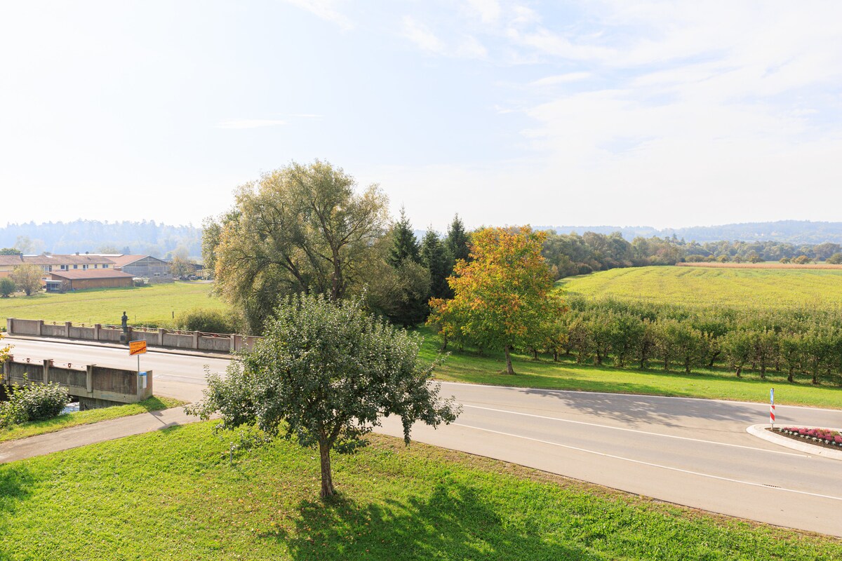 An open landscape presents a view of a road bordered by lush greenery, including a single tree and rows of apple orchards in the distance. The scene is accentuated by gentle hills and a clear sky, indicating a calm day.