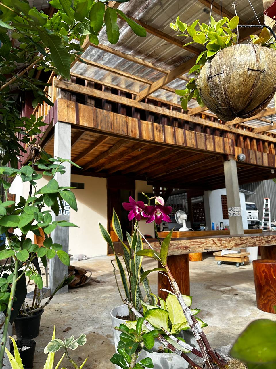 A rustic cabin porch is featured, showcasing natural wood beams and a terracotta floor. Potted plants, including a vibrant purple orchid and various greenery, are positioned around the area, creating a connection with the surrounding nature. A hanging planter adds to the outdoor aesthetic.