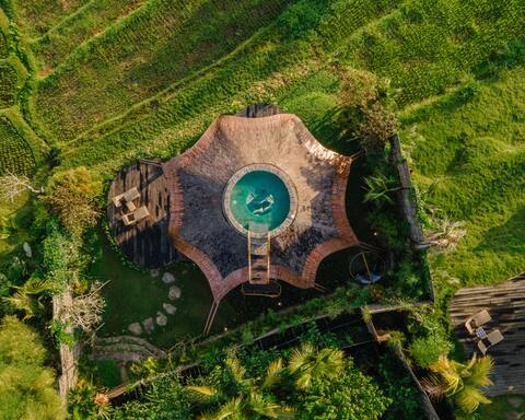 Veluvana Bali - Octopus House