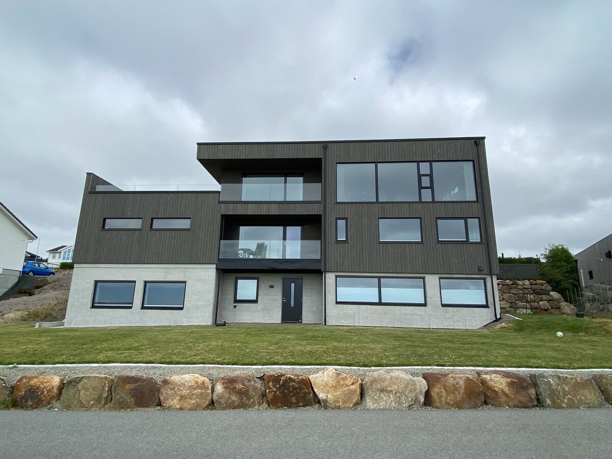 A modern, multi-level home is positioned against a cloudy sky. The exterior showcases a combination of dark wood and concrete, with large windows providing ample natural light. A neatly maintained lawn and a stone border accentuate the front landscape.